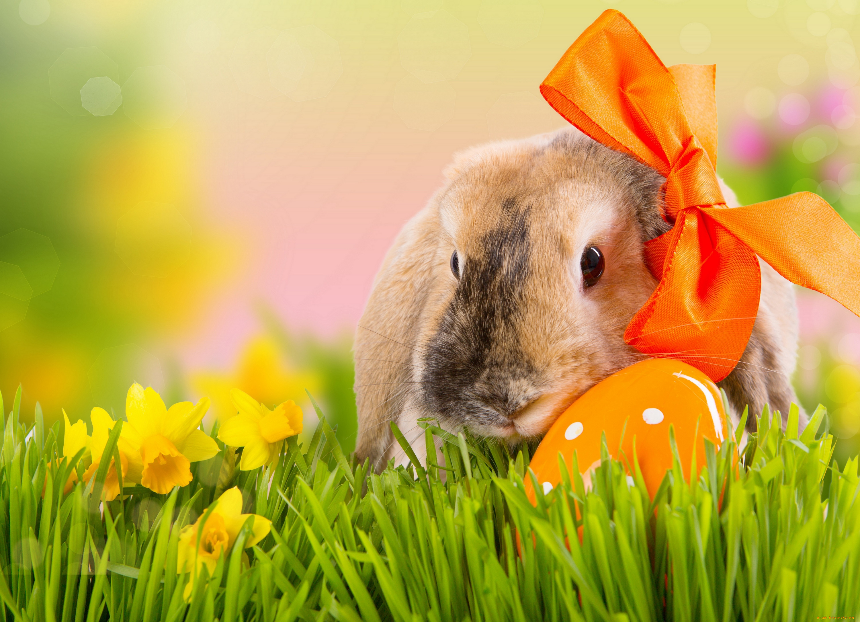 , ,  , , , , , , , , , , , , easter